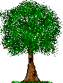 tree2.gif (3068 bytes)